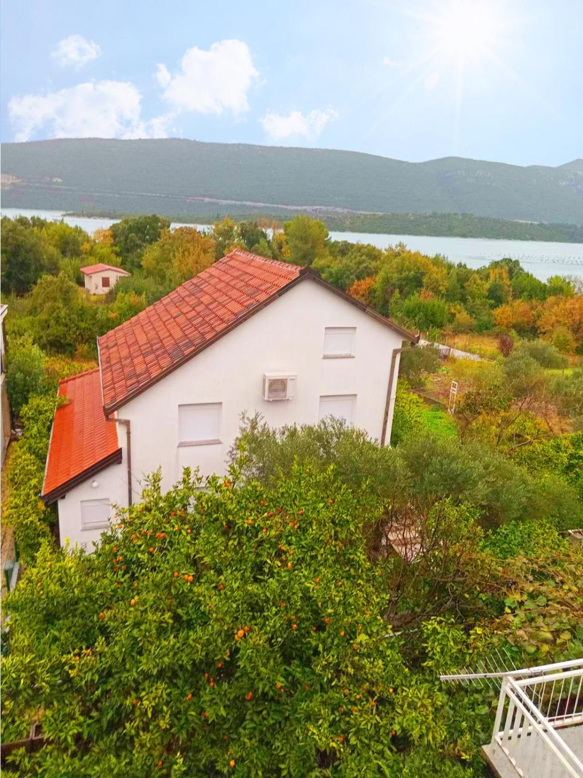 Apartments Maslina Ston Kültér fotó